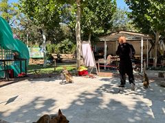 -沂蒙云瀑洞天景区