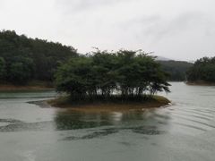 -洈水景区