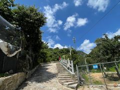 -大岭沟猕猴桃谷风景区