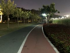 -野狸岛