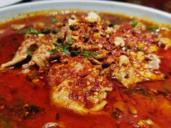 -眉州东坡·熊猫主题餐厅(枫蓝店)
