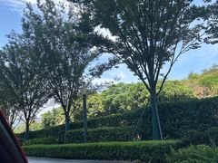-東茅街茶馆