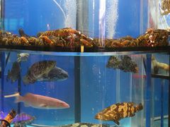-钟菜·粤菜点心·宴请(海上世界·汇港二期店)