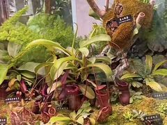 -中国科学院西双版纳热带植物园