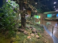 -陕西自然博物馆