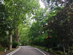 -棒棰岛宾馆景区