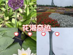 -沈阳植物园