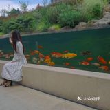 小众咖啡环境超好景很丰富
