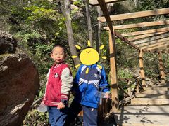 -大岭沟猕猴桃谷风景区