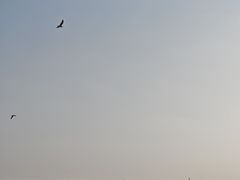 -丁香湖公园