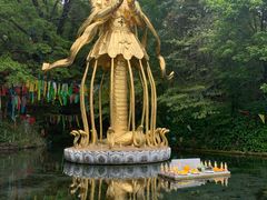 -丽江玉水寨