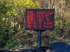 -五营红松林海景区