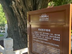 -北京市劳动人民文化宫(太庙)