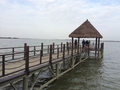 -瑶湖郊野森林公园