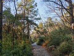 -灵岩山风景区