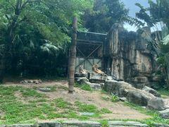 -深圳野生动物园