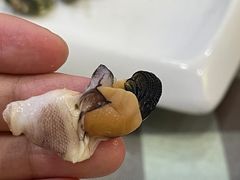 -梅子大排档