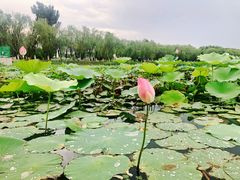 -素心小筑(后沙裕镇店)
