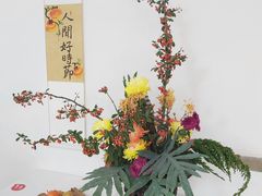 -无锡梅园公园