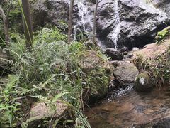 -南京市无想山景区