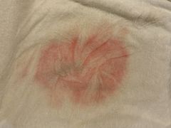 -瑞派罗医生宠物诊所(古镇分所)