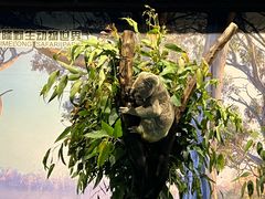 -味餐厅·海鲜·火锅·自助餐