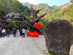 -龙湾潭国家森林公园