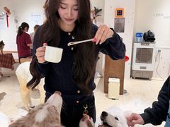 -尚品天城