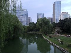 -中央公园(苏州工业园区)
