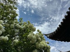 -常熟方塔园