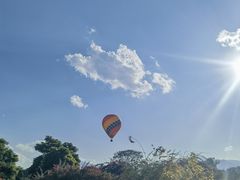 -中国科学院西双版纳热带植物园