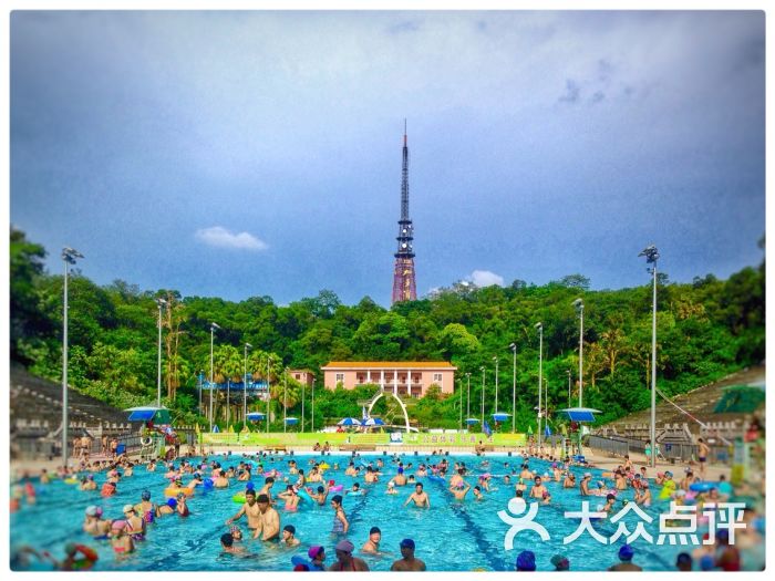 越秀山游泳场-图片-广州运动健身-大众点评网