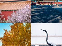 -故宫博物院(故宫)