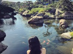 -罗红摄影艺术馆