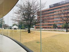 -金泽21世纪美术馆