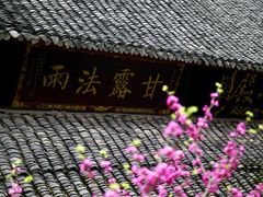 -峨眉山报国寺