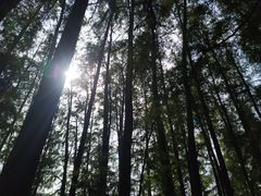 -东湖落雁景区