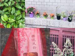 -鸡鸣赐茶(鸡鸣寺路店)