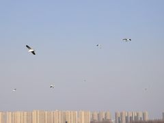 -丁香湖公园