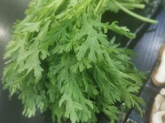 -鼎宏干锅牛肉(富城时代店)