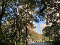 -苏州河梦清园环保主题公园