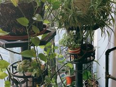 -臻鲜燕海鲜融合餐厅(金陵style店)