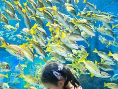 -海合安武汉极地海洋公园
