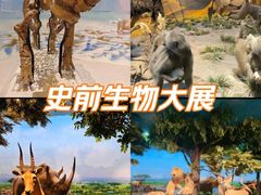 -国家自然博物馆