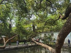 -西园戒幢律寺