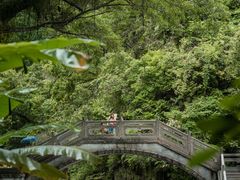 -广州市石门国家森林公园