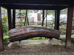 -白鹿洞书院