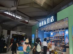 -丽江三义国际机场