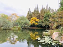 -上海共青森林公园