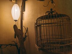 -鼎族怡华·指压·经络·疗愈SPA(紫荆店)
